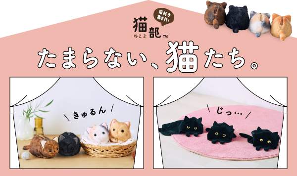 猫部×ごろねこサミット クッション発売中！│フェリシモ猫部